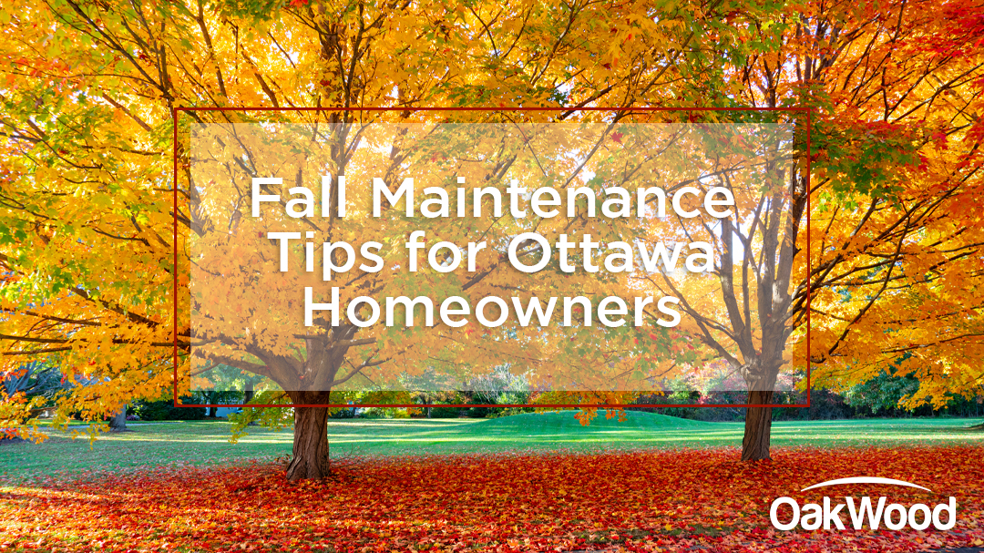 Fall Home Maintenance Tips for Ottawa Homeowners