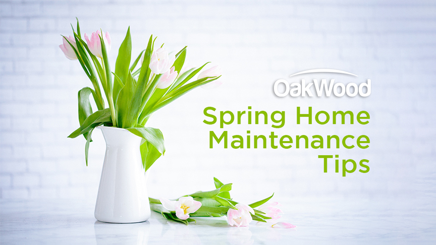 Spring Cleaning and Home Maintenance Tips