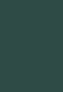 Rosemary Green- Matte