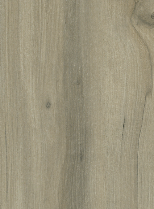 Earthy Walnut
