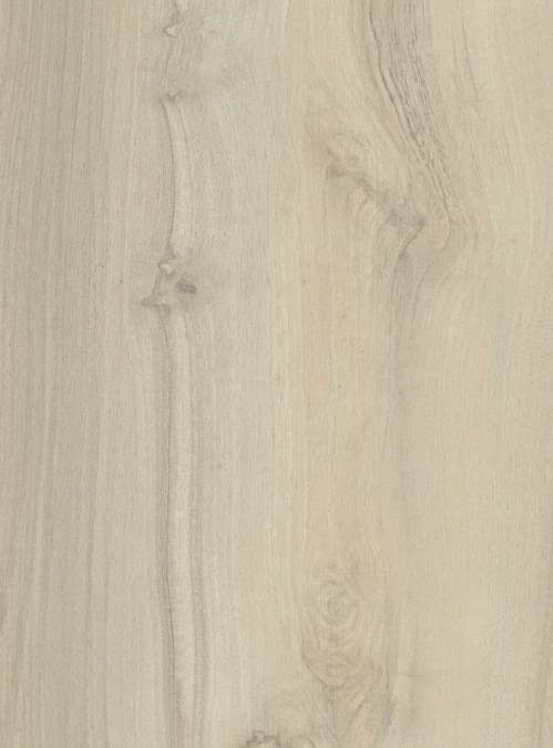 Latte Walnut